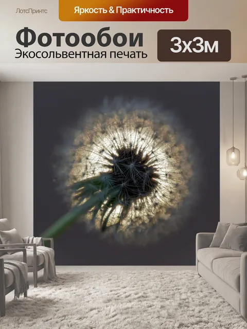 Фотообои Одуванчик