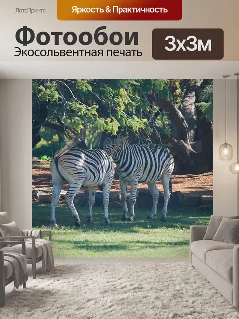 Фотообои взаимодействие двух зебр