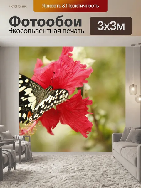 Фотообои Природа
