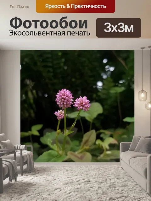 Фотообои Земля