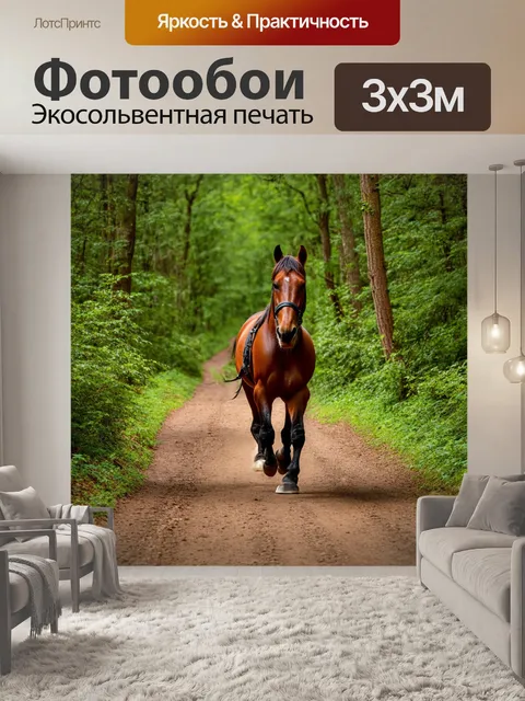 Фотообои лошадь, шагающая по узкой тропинке леса
