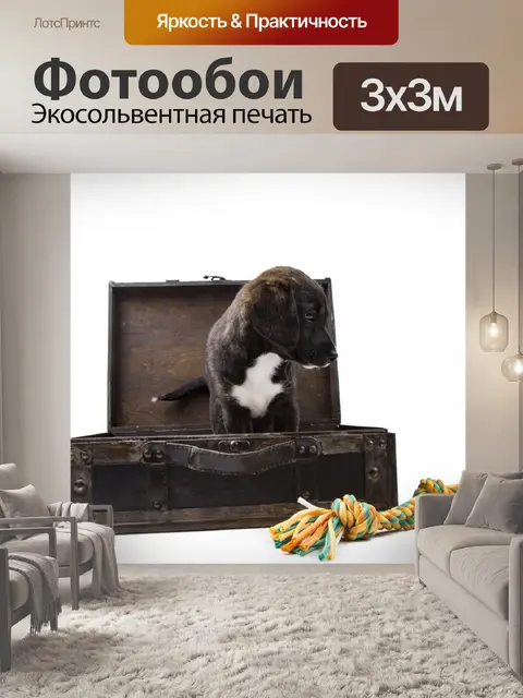 Фотообои Щенок с чемоданом
