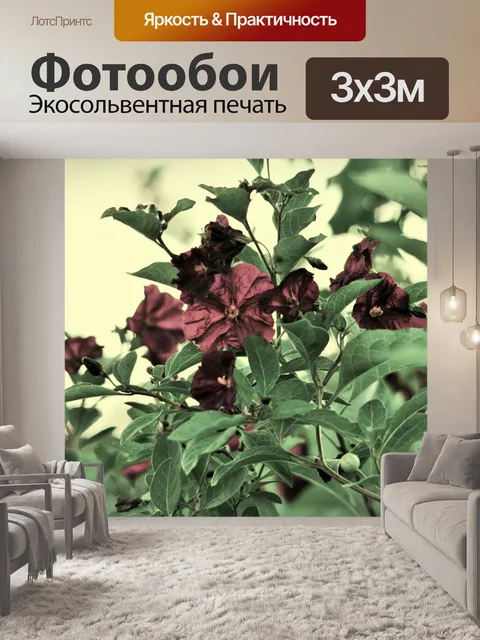 Фотообои картофель куст зеленый красный