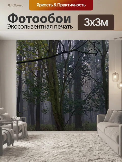Фотообои Туман