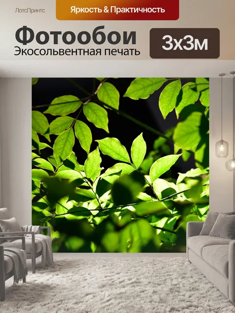 Фотообои Листья