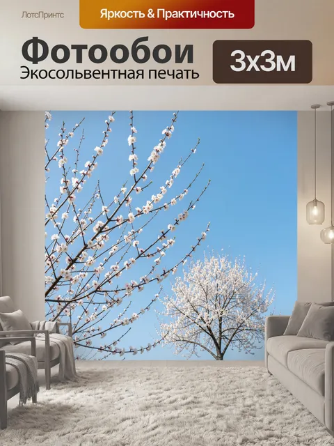 Фотообои Цветущие ветви на фоне неба