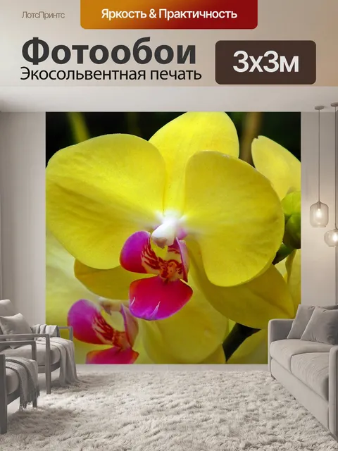 Фотообои Орхидеи