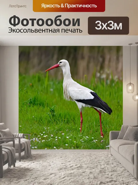 Фотообои Аист