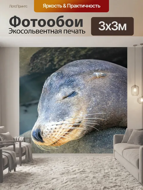 Фотообои Море