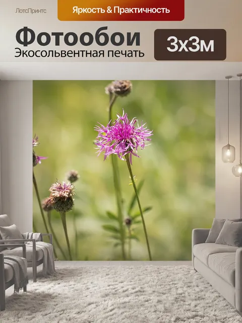 Фотообои Луг