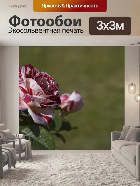 Фотообои Клод Моне Rose