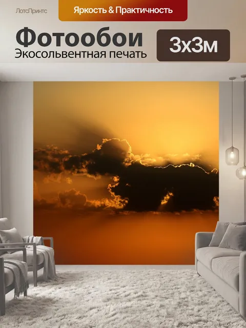 Фотообои Собака