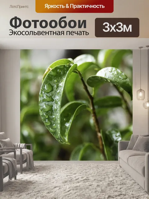 Фотообои Листья