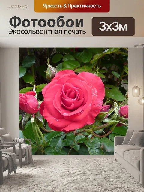 Фотообои Розы
