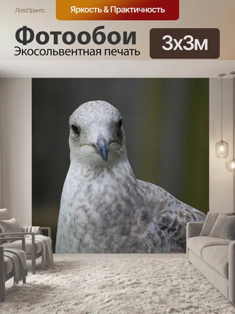 Фотообои Птица