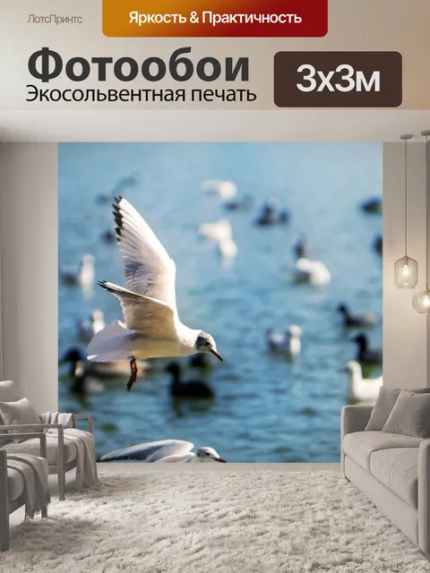 Фотообои Чайка