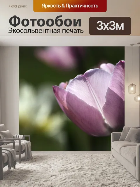 Фотообои Розовый