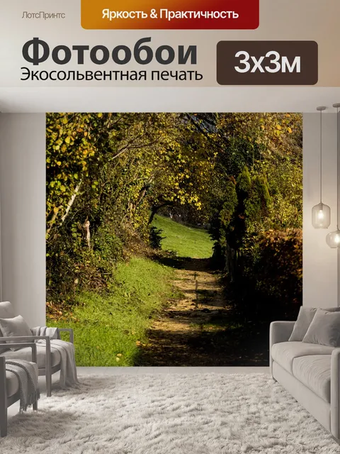 Фотообои Дорожка