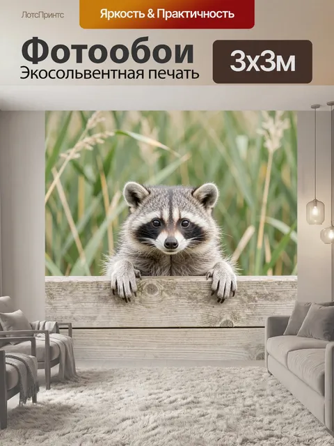 Фотообои Енот у деревянного забора