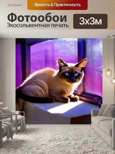Фотообои сиамский кот, грациозно устроившийся на подоконнике, наслаждается теплыми лучами солнца, пробивающимися…