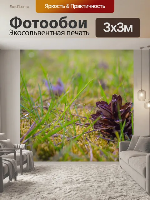 Фотообои Шишка