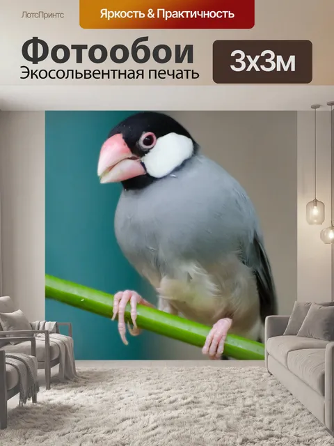Фотообои Птица