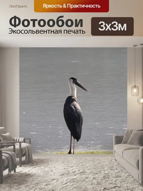 Фотообои Птица
