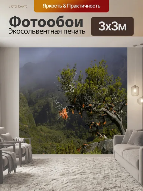 Фотообои Дерево
