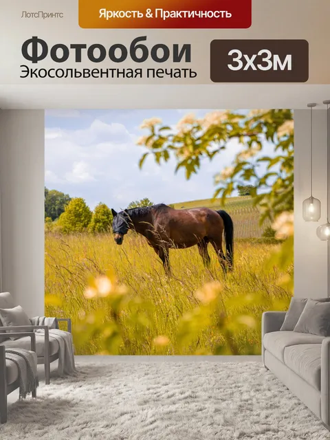 Фотообои Лошадь