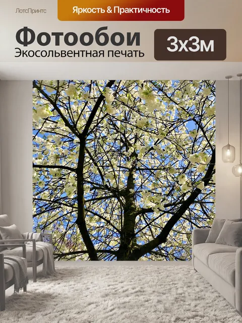 Фотообои Расцвет дерево