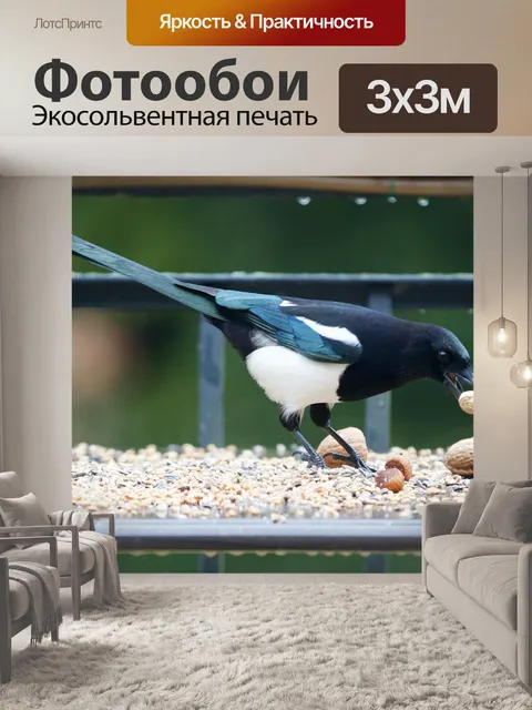 Фотообои Сорока