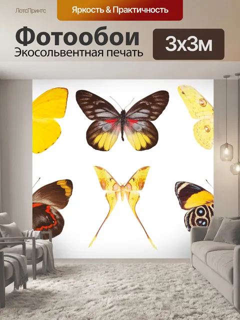 Фотообои Бабочки