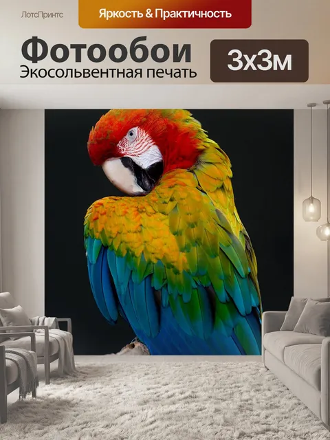 Фотообои Птица