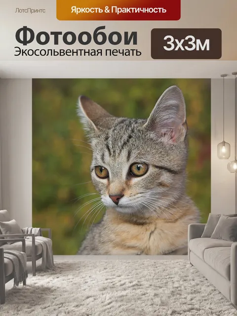 Фотообои Кошки