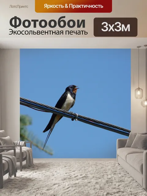 Фотообои Ласточка
