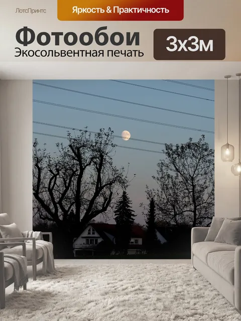 Фотообои Луна