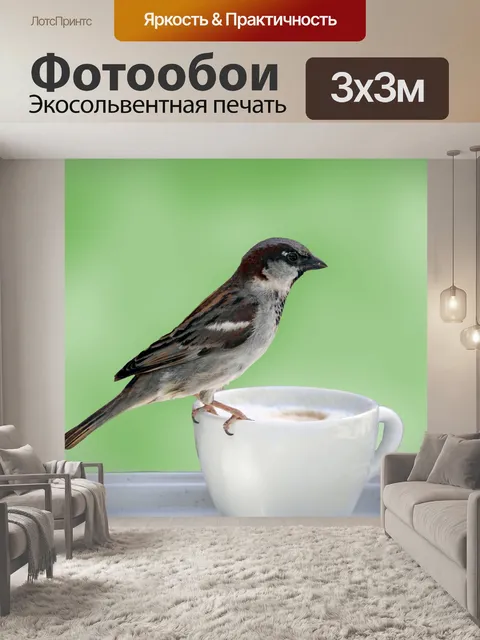 Фотообои Птица на чашке кофе