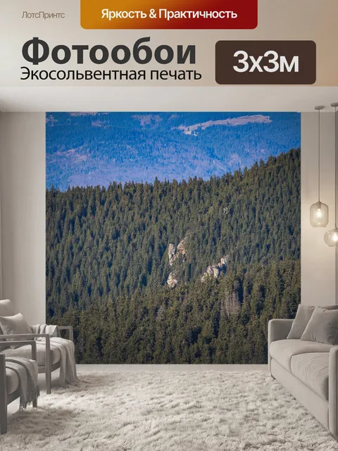 Фотообои Сосны