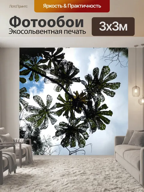 Фотообои Природа