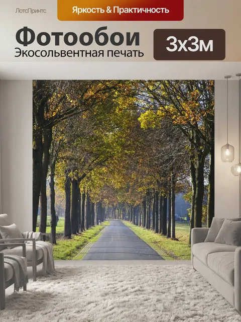 Фотообои Проспект
