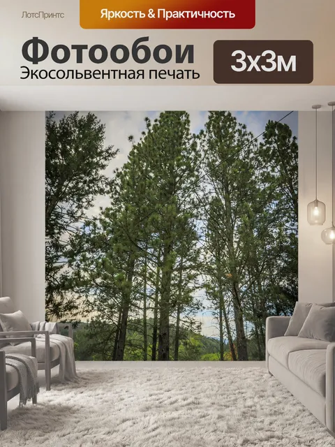 Фотообои Деревья