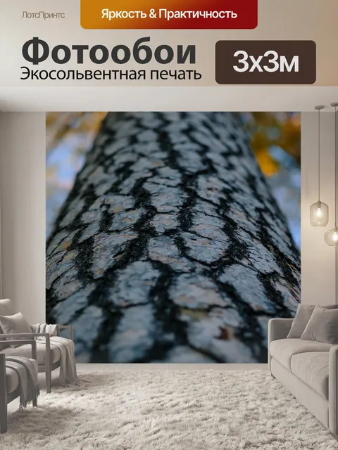 Фотообои Природа