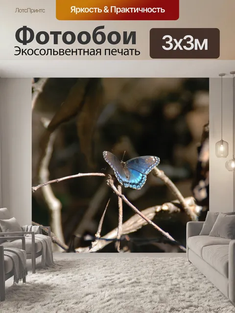 Фотообои Бабочка
