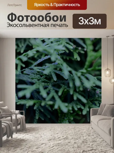 Фотообои Растение