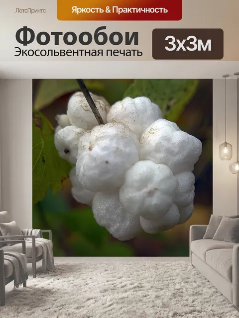 Фотообои Снег берри