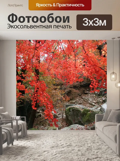 Фотообои Осенние листья