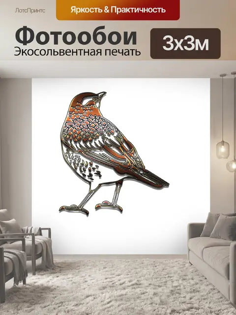 Фотообои Контур