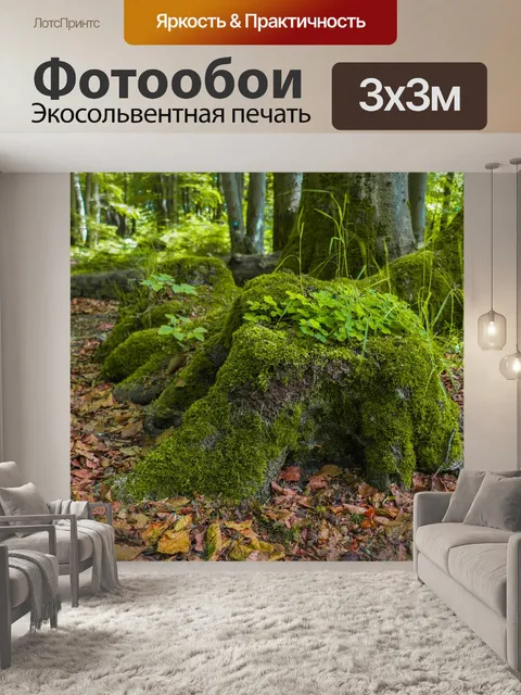 Фотообои Лес