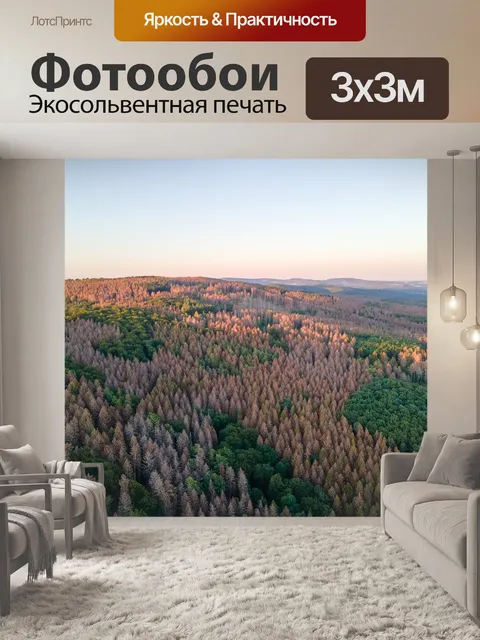 Фотообои Лес