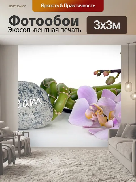 Фотообои Орхидея